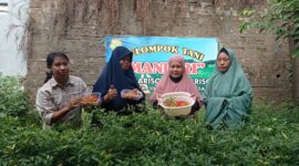 Warga Kecamatan Mariso berhasil memanfaatkan lahan tidur seluas 50 M persegi untuk menanam cabai