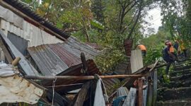 Pemerintah Provinsi Sulawesi Selatan melalui BPBD telah menyalurkan bantuan logistik untuk korban terdampak kejadian pohon tumbang