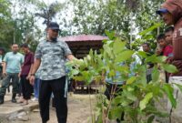 Gubernur Sulawesi Selatan, Andi Sudirman Sulaiman mendorong masyarakat untuk bergerak dalam aktif dalam gerakan penanaman pohon