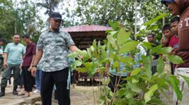 Gubernur Sulawesi Selatan, Andi Sudirman Sulaiman mendorong masyarakat untuk bergerak dalam aktif dalam gerakan penanaman pohon