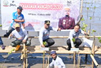 Penanaman mangrove merupakan salah satu bentuk program prioritas Gubernur Andi Sudirman Sulaiman