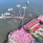 Pemerintah Kota Makassar menggelar upacara peringatan Hari Ulang Tahun (HUT) ke-78 RI