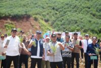 Pj Gubernur Sulsel Bahtiar Baharuddin terus berupaya meningkatkan perekonomian masyarakat melalui sektor pertanian