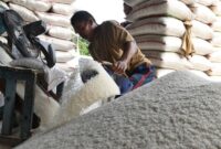 Harga beras di sejumlah pasar tradisional di Kota Makassar, Sulawesi Selatan, perlahan mulai normal. Jumat (1/3/2024).